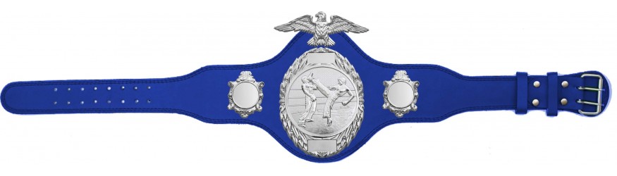 KICKBOXING CHAMPIONSHIP BELT - PLT288/S/KBOS-4 COLOURS KICKBOXING CHAMPIONSHIP BELT - PLT288/S/KBOS-4 COLOURS